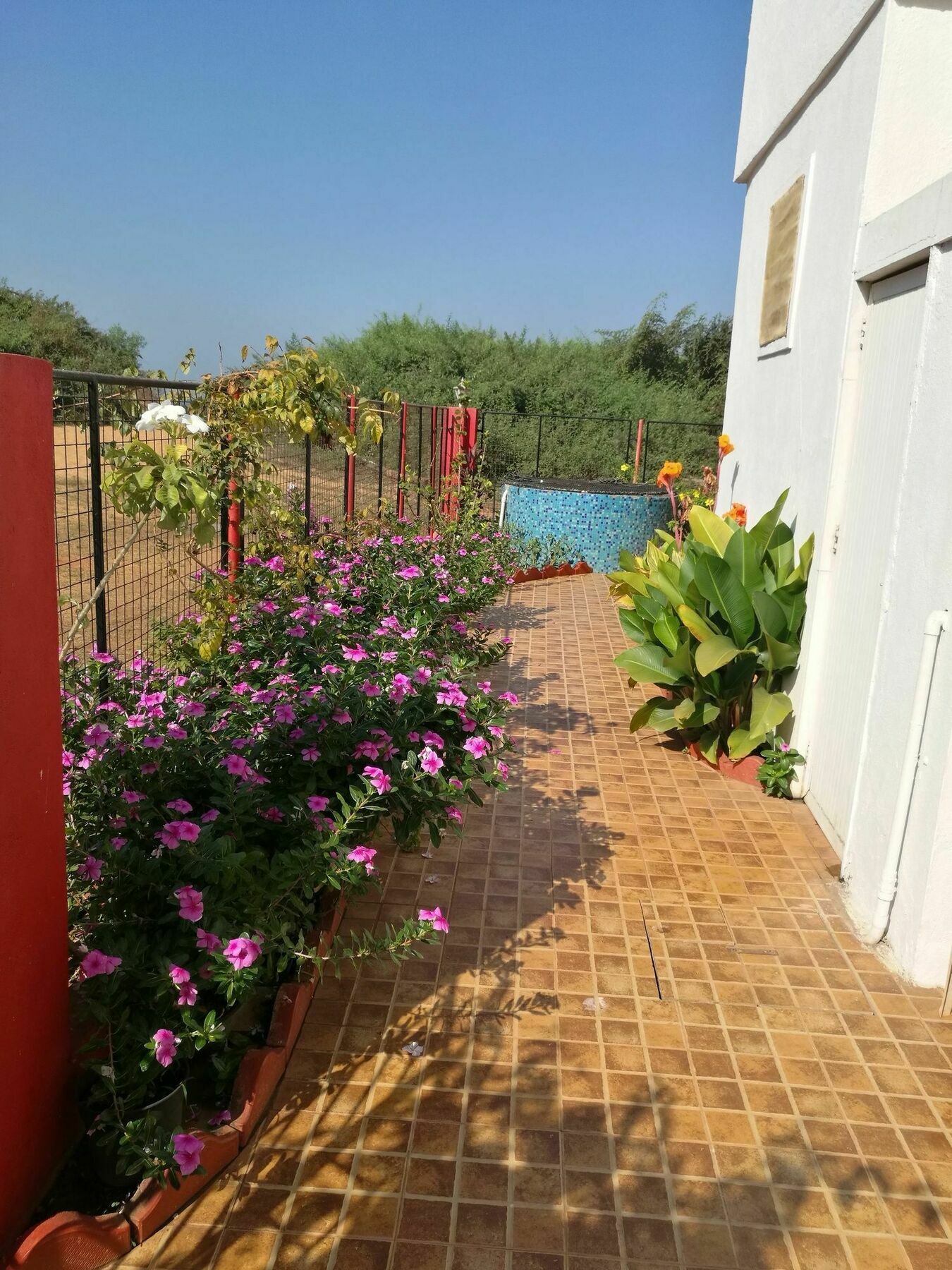 Sea Pearl Guesthouse Candolim Exterior foto